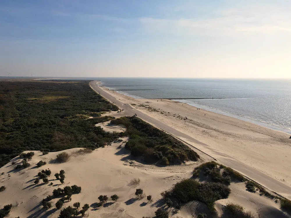 Luftaufnahme des Borkumer Südstrands mit Dünen, Inselwald und Nordsee
